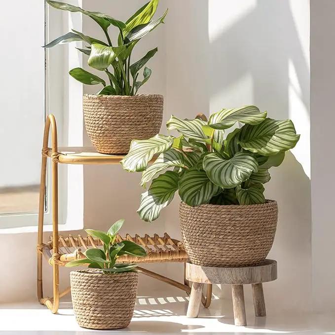 La Jolíe Muse Seagrass Planter Basket Indoor, Flower Pots Cover, Plant Containers, Natural(3-Pack) 10.2"+8.7"+6.7" by GreenHaven Gardens