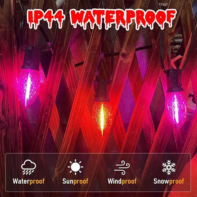 C9 LED Halloween Pathway Lights,10Pcs C9 Orange & Dark Purple Light Bulbs Stake Lights with 10 Stakes, Connectable Outdoor Pathway Markers Lights for Halloween Holiday Walkway Party Driveway Decor by GreenHaven Gardens
