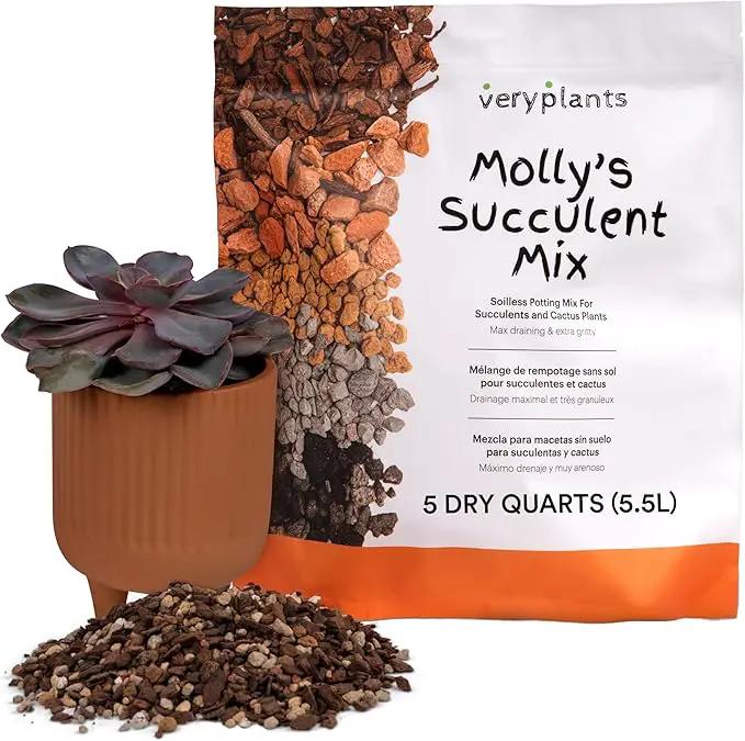 Molly's Succulent Mix - Premium Gritty Soilless Potting Mix for Succulents, Cactus and Bonsai - Contains Akadama, Hyuga, Bark Fines, Pumice, Lava Rock, Mycorrhizae 5 Dry Quarts by GreenHaven Gardens