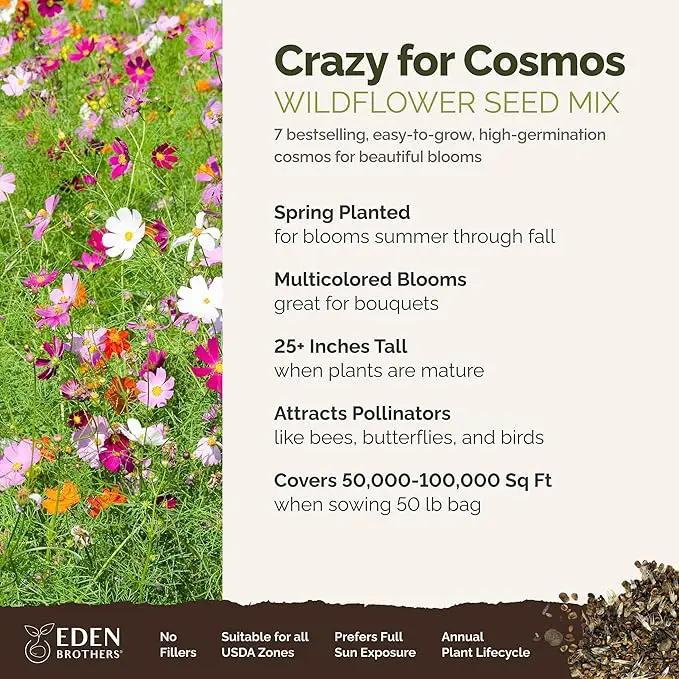 Eden Brothers Crazy for Cosmos Flower Mixed Seeds for Planting, 50 lb, 24,000,000+ Seeds with Cosmos Gloria, Pinkie, Purity, Attracts Pollinators, Plant in Spring or Fall, Zone 3, 4, 5, 6, 7, 8, 9, 10 by GreenHaven Gardens