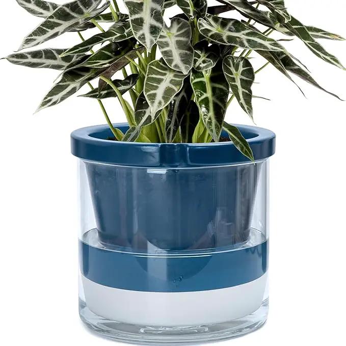 D'vine Dev 10 Inch Design Self Watering Planter for Indoor Plants, Blue Terracotta Pot with Cylinder Glass Cup, 37-X-D-4 by GreenHaven Gardens