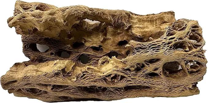 Natural Cholla Wood Chunk Large Air Plant Display Holders Individually Unique Decorative Stands or Holder (Cholla Chunk Large) by GreenHaven Gardens