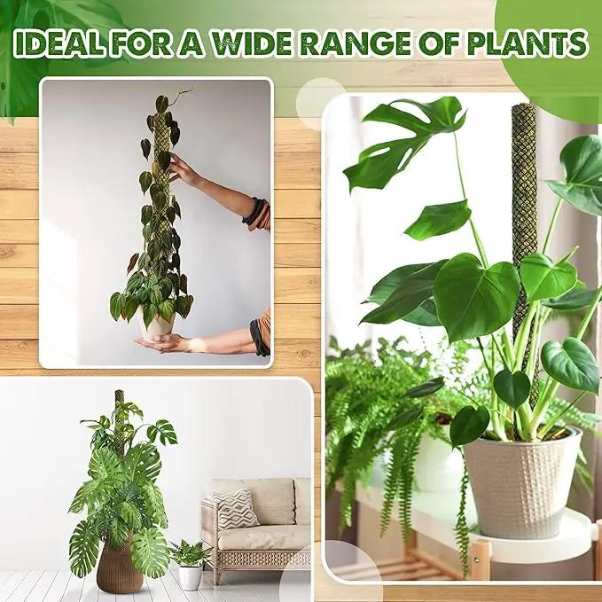 DUSPRO Stackable Mesh Moss Pole for Plants Monstera Potted Plant Stakes for Indoor Plants Extendable Plant Pole Moss Sticks for Plants Climbing Vine Supporting Monstera Trellis 2 Pcs 22'' by GreenHaven Gardens