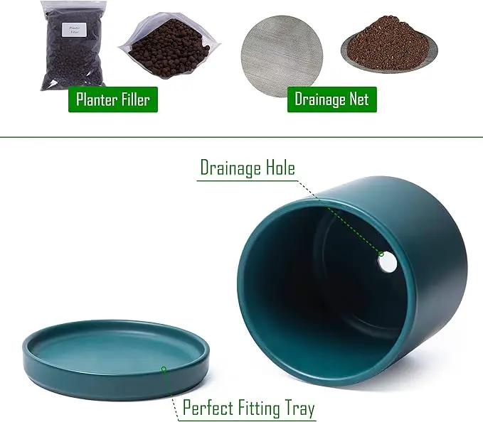 D'vine Dev 6 Inch Ceramic Planter Pot with Drainage Hole and Saucer, Indoor Cylinder Round Planter Pot, Teal, 94-O-C-9 by GreenHaven Gardens
