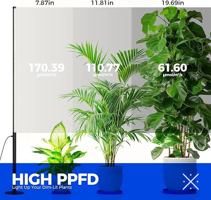 Barrina T10 Pro Standing Grow Light with Timer, 42W, 5000K, Full Spectrum Vertical Tall Grow Lights for Indoor Plants, Wide Coverage, 4FT to 5.6FT Height with Foot Switch, for Flower and Tall Plants by GreenHaven Gardens