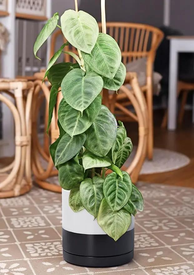 D'vine Dev 10 Inch Ceramic Planter Pot with Drainage Hole and Saucer, Indoor Cylinder Round Planter Pot, Layered Monochrome Black & White, 94-O-E-L by GreenHaven Gardens
