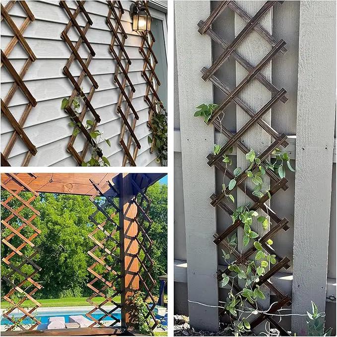 2 PCS Expandable Garden Trellis, 12" x 75" Wooden Lattice Fence Wall Panel Stretchable Decorative Fences Lattice Trellis for Climbing Plants Outdoor Ivy Vine Rose Clematis Garden Patio Room Decor (2) by GreenHaven Gardens