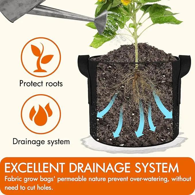 Gardzen 10-Pack 2 Gallon Grow Bags, Aeration Fabric Pots with Handles, Heavy Duty Cloth Pots for Plants by GreenHaven Gardens