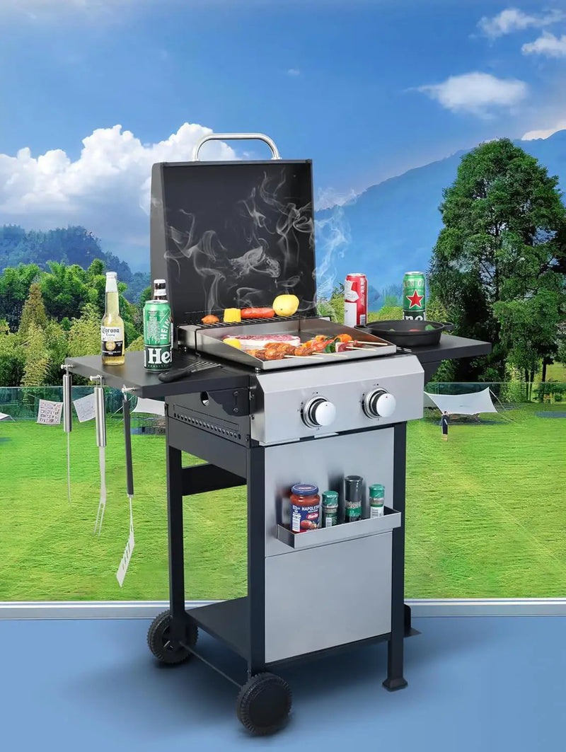 2-Burner Propane Gas BBQ Grill with SS Plancha, 24,600 BTU Output, Wire Enamel Cooking Grids, Foldable Side Table and Hanging Basket, Compact Stainless Steel Grill by GreenHaven Gardens