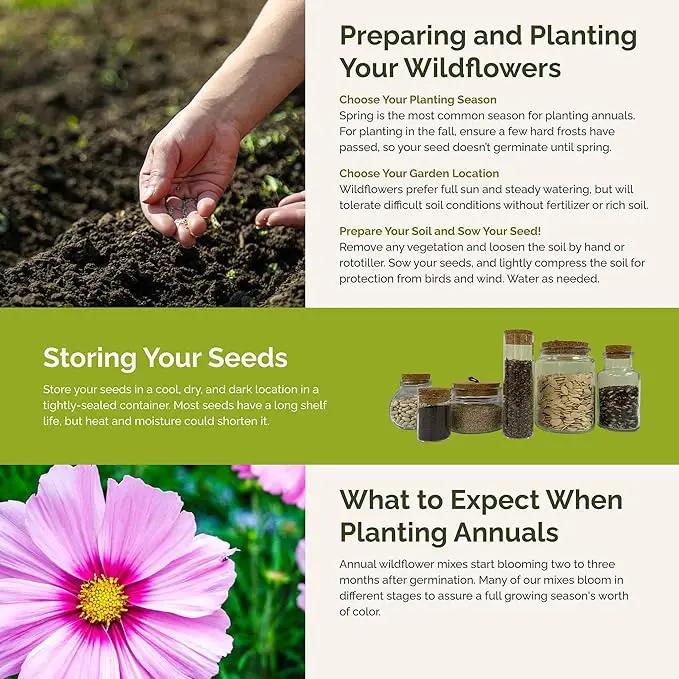 Eden Brothers Purple Rain Flower Mixed Seeds for Planting, 5 lb, 2,400,000+ Seeds with Zinnia Purple Prince & Violet Queen, Cosmos, Attracts Pollinators, Plant in Spring, Zones 3, 4, 5, 6, 7, 8, 9, 10 by GreenHaven Gardens