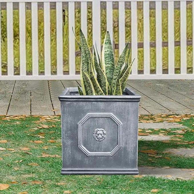 Kante Square Lion Head Concrete Planter, Classic English Style Plant Pot with Drainage Hole and Rubber Plug for Indoor Outdoor Garden Patio Home, 12.6"x12.6"x12.6" Antique Gray by GreenHaven Gardens