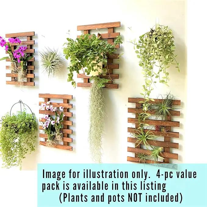 ShopLaLa Wall Planter - 2 Pack Wooden Orchid Planter Frame Display Outdoor Plants, Wall Mount Air Plants Succulent Holder Hanger, Vertical Garden Plant Wall Decor Macetas para Orquideas 15.7" (40cm) by GreenHaven Gardens