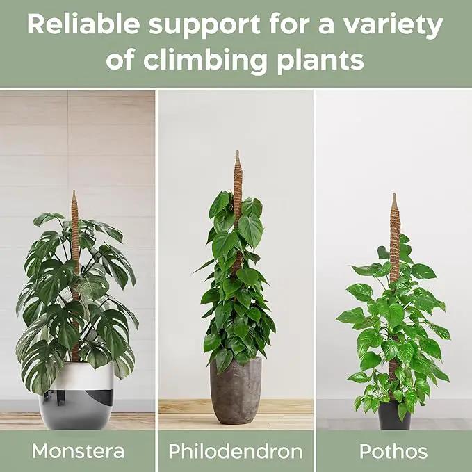 2 Pack 28'' Bendable Moss Pole Monstera Plant Support for Climbing Indoor Plants - Stakes for Potted Climbers - Tall Sticks Indoor Trellis for Houseplants - Accessories for Monstera Pot by GreenHaven Gardens