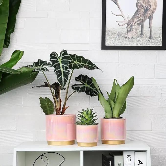 Gepege Indoor Pots for Plants, Ceramic Planter with Drainage Hole, 9.6inch+7.6Inch+6Inch. Succulent Orchid Flower Pot - Rainbow Pearl Glaze by GreenHaven Gardens