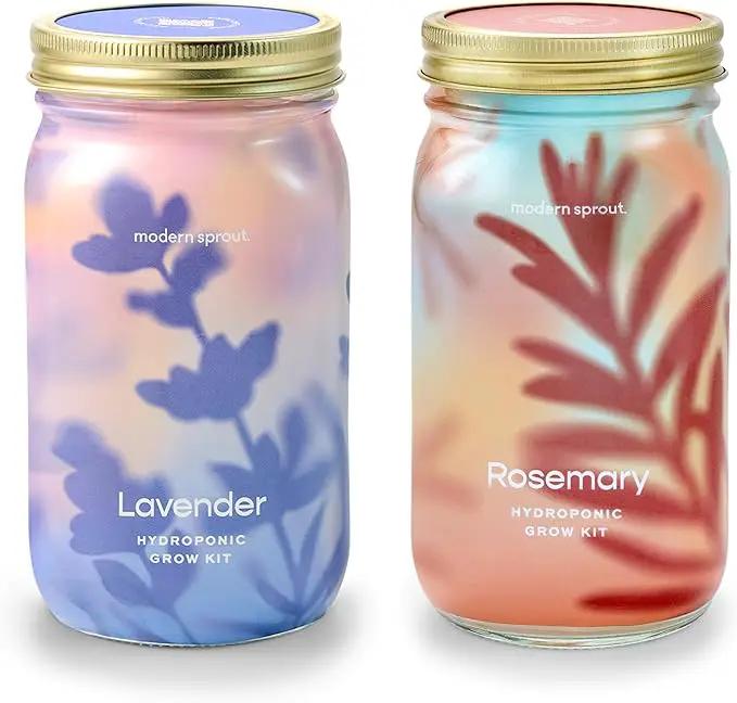 Modern Sprout Mason Garden Jar - Self-Watering Hydroponics Growing System Kit with Organic Herb Seeds - Jar Planter for Indoor Herb Garden - Seed Starter Kit - Home Decor & Gifting - Lavender+Rosemary by GreenHaven Gardens