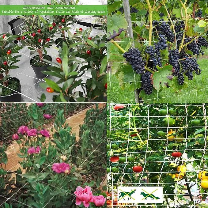 All-Weather Trellis Netting Mesh Plant Garden Vine Growing Flexible String Net (6" Mesh ployester, 5' Wx 30'L) by GreenHaven Gardens