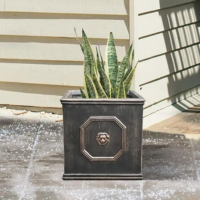 Kante Square Lion Head Concrete Planter, Classic English Style Plant Pot with Drainage Hole and Rubber Plug for Indoor Outdoor Garden Patio Home, 12.6"x12.6"x12.6" Oil Rubbed Bronze by GreenHaven Gardens
