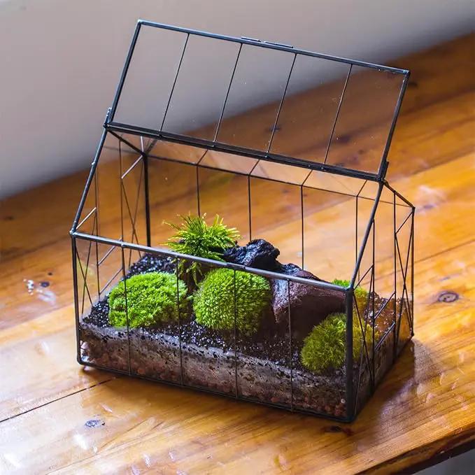 NCYP Geometric Glass Terrarium with Lid for Succulent, Small Cactus - Handmade Clear Closed House Shape Box - Home Indoor Tabletop Garden Decor, Black 9.4" x 5.5" x 7.3" (No Plants) by GreenHaven Gardens