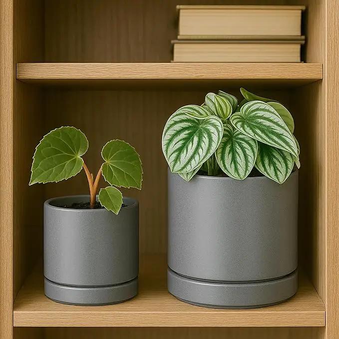 D'vine Dev 3.5 Inch & 4.7 Inch Ceramic Planter Pots for Plants with Drainage Hole and Saucer, X-Small Plant Pots Set, Speckled Grey, 94-G-XS-3 by GreenHaven Gardens