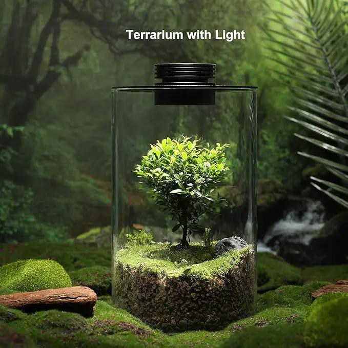 Desktop Glass Plant Terrarium with Grow Light (H:9.8" D:5.9"), for Succulent, Moss, Miniature Gardening Landscape, Betta Fish Tank, Indoor Plant Growth, Office Home Decoration, Plant Lovers Gifts by GreenHaven Gardens