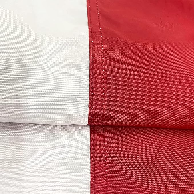 Homissor American Flag 15x25 Ft Large US Flags USA Giant United State Flag Heavy Duty Outdoor Embroidered Stars for All Weather High Wind Sewn Stripes With Brass Grommets by GreenHaven Gardens