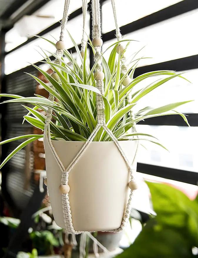 Macrame Plant Hanger Indoor Hanging with Wood Beads Macrame Planters No Tassel for Indoor Outdoor Boho Home Decor 35 Inch (Ivory,2pcs) by GreenHaven Gardens