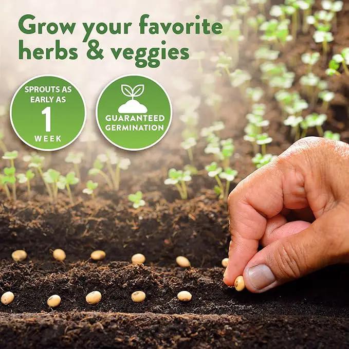 HOME GROWN 70 Variety Vegetable & Herb Seeds – 32,000+ USA Non-GMO Heirloom Survival Seeds –Garden Kit for Spring, Fall, Winter – Indoor & Outdoor Planting – Starter Set for Home Gardeners & Preppers by GreenHaven Gardens