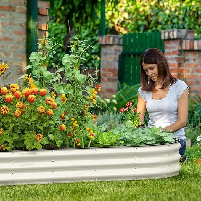 Oval 8x4x1 FT Galvanized Raised Garden Bed Kit, 3 in 1 Large Metal Garden Bed Raised Planter Box, 12” Raised Beds for Gardening Vegetables Flower Herb(Pearl White) by GreenHaven Gardens