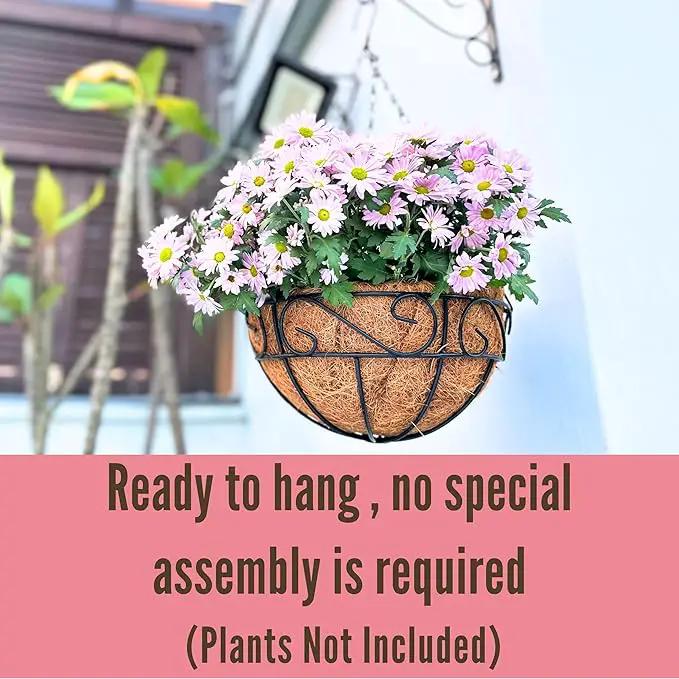 LaLaGreen Hanging Planter for Outdoor Plants (2 Pack, 16 Inch) Hanging Baskets with Coco Liner, Metal Wire Flower Basket Pots with Hook Hanger Balcony Porch Farmhouse Country Style Garden Decor by GreenHaven Gardens
