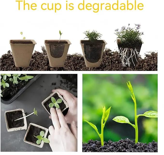 240 Cells Peat Pots Seed Starter Tray 24 Packs Biodegradable Seedling Pots Germination Trays Peat Pot for Seedling Organic Seed Starting Trays kit with 24 Labels 2 Transplant Tools by GreenHaven Gardens