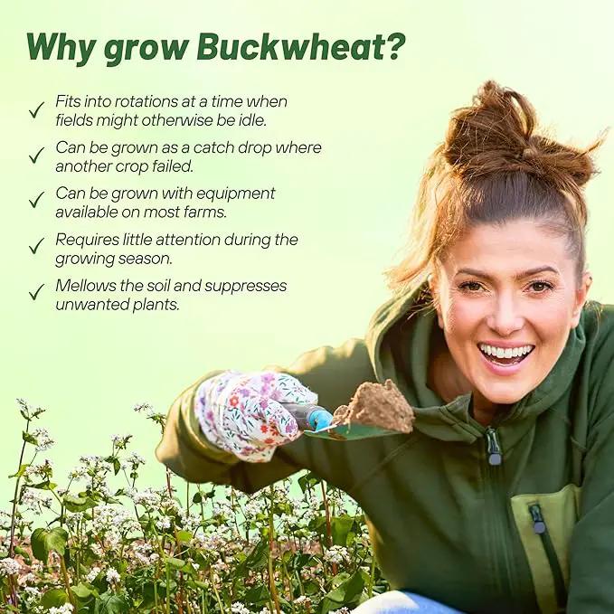 Outsidepride Buckwheat Seeds - 1oz Annual, Fast-Growing, Easy to Grow Buckwheat Cover Crop Seeds for Green Manure, Bee Pasture & Pollinators, Wildlife Habitat, Soil Improvement, and Erosion Control by GreenHaven Gardens