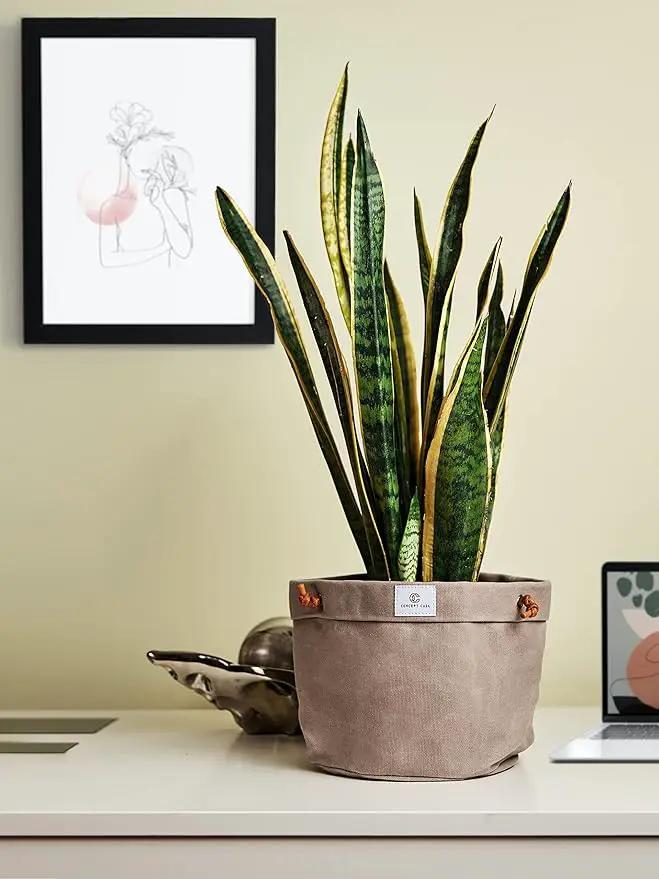 Large Waxed Canvas Handmade Hanging Planter for Indoor/Outdoor Plants, Hanging Basket Plant Holder Stone Gray by GreenHaven Gardens