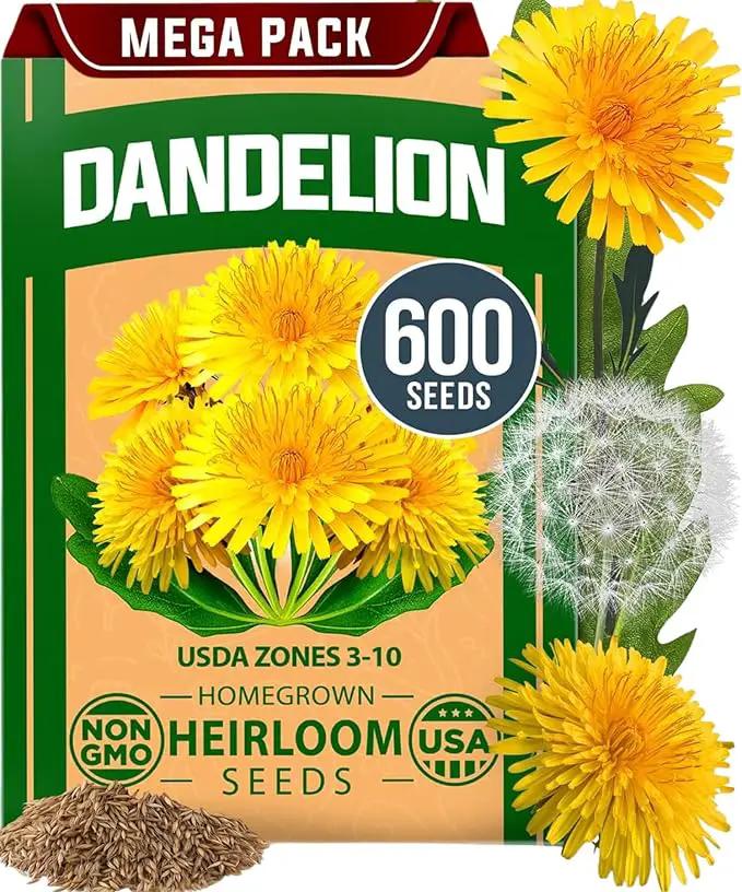HOME GROWN 𝗨𝗦𝗔 𝗣𝗥𝗘𝗠𝗜𝗨𝗠 Dandelion Seeds for Planting – 600 Heirloom Medicinal Herb Seeds (~0.3g) 𝗡𝗢𝗡-𝗚𝗠𝗢 Grow Edible Leaves and Flowers for Remedies or Wildlife (Taraxacum officinale) by GreenHaven Gardens