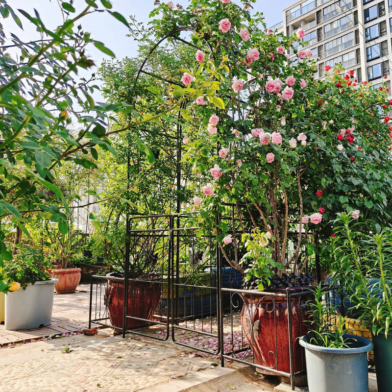 Metal Garden Arch With Gate High Climbing Plants Support Rose Arch Outdoor - Black by Unique Piece Furniture