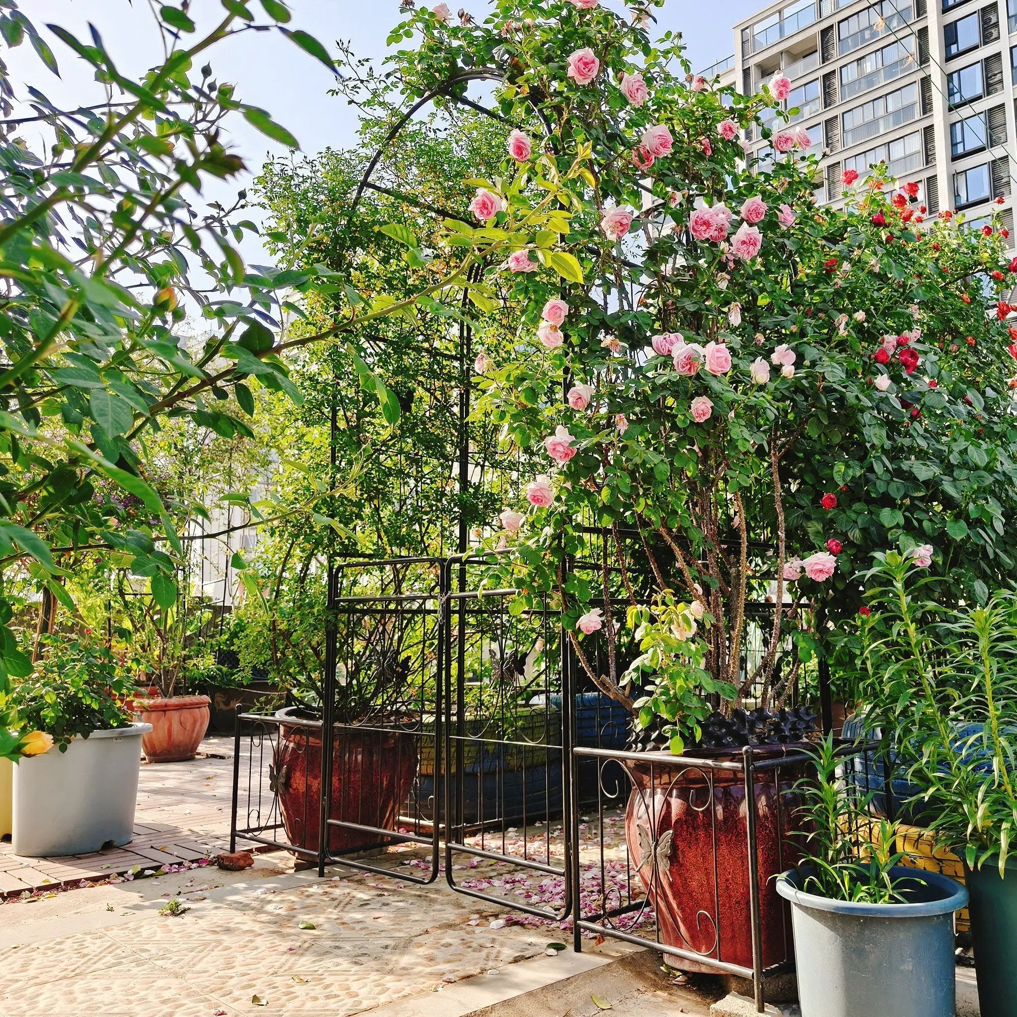 Metal Garden Arch With Gate High Climbing Plants Support Rose Arch Outdoor - Black by HouseOfZazla