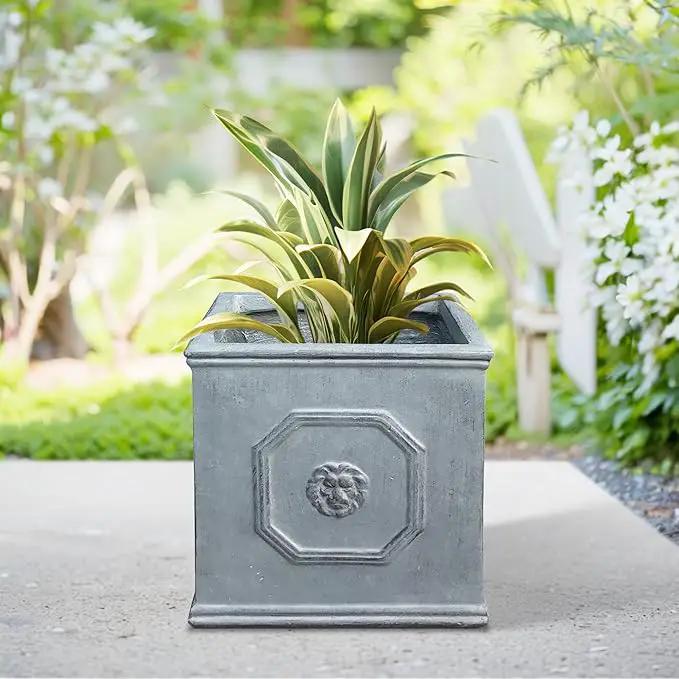Kante Square Lion Head Concrete Planter, Classic English Style Plant Pot with Drainage Hole and Rubber Plug for Indoor Outdoor Garden Patio Home, 12.6"x12.6"x12.6" Gravel Gray by GreenHaven Gardens