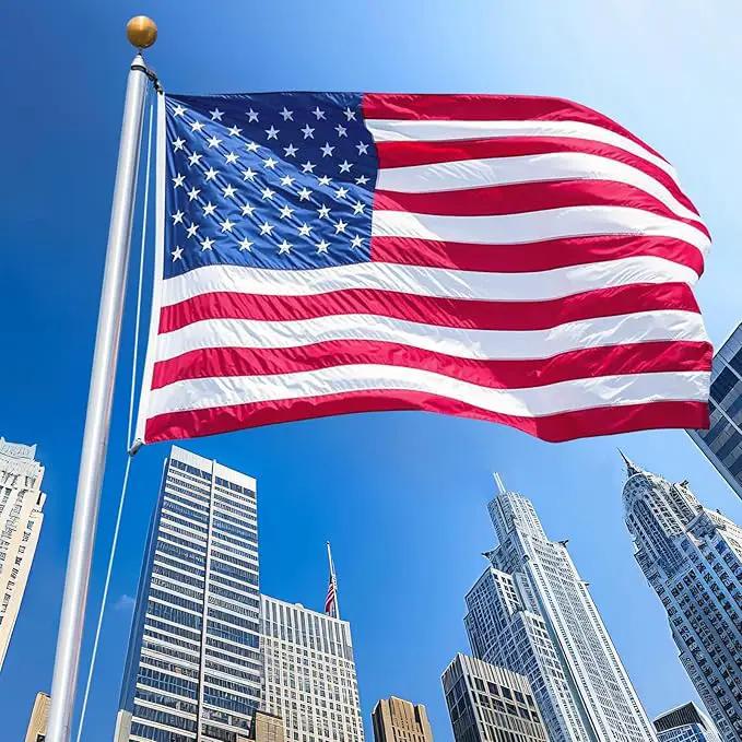 American Flag 10x15 FT, US Flags with Embroidered Stars Sewn Stripes Brass Grommets, Vivid Color, All Weather United States Flag, Polyester USA Flag for Outdoors Indoors (10x15 Foot) by GreenHaven Gardens