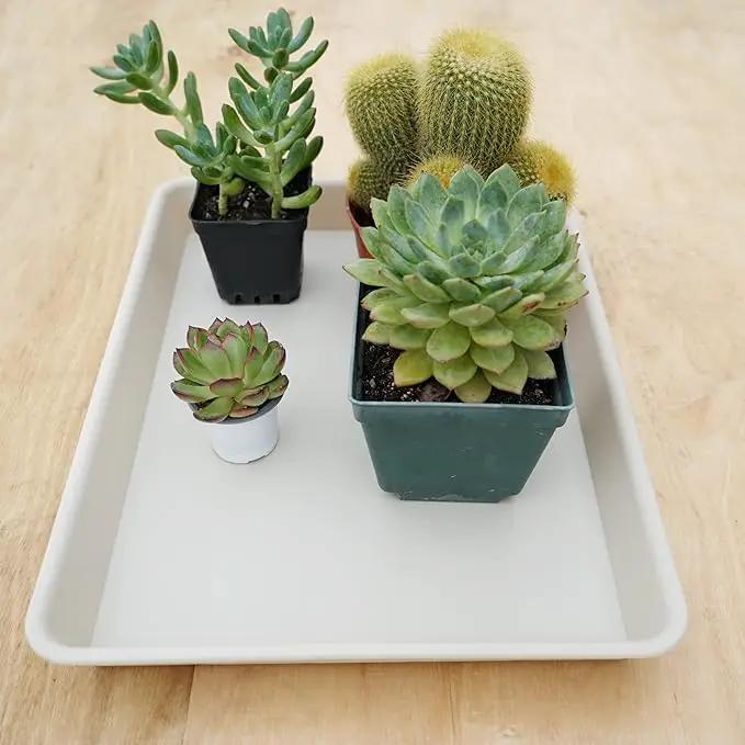 2 Pack Plant Growing Nursery 1020 Trays, Plant Saucer Tray, Heavy Sturdy Seed Starting Trays, Plant Starter Trays for Indoors No Holes, Seed Starter Growing Tray (22"x11.2", Beige) by GreenHaven Gardens