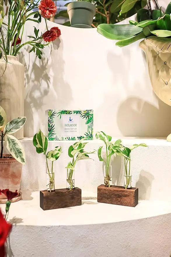 Ivolador Plant Propagation Stations 4 Test Tube Plants Terrariums in Wooden Stand Gifts for Plant Lovers for Hydroponic Plants Office Home Decor Hydroponic Vase Gift Box 2 Sets by GreenHaven Gardens