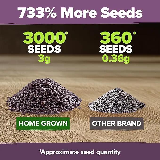 HOME GROWN 𝗨𝗦𝗔 𝗣𝗥𝗘𝗠𝗜𝗨𝗠 English Lavender Seeds 2 Pack 3000 𝗡𝗢𝗡-𝗚𝗠𝗢 Wildflower Seed, for Planting Indoor Outdoor High Germination Flower Seeds (Lavandula antustifolia) by GreenHaven Gardens