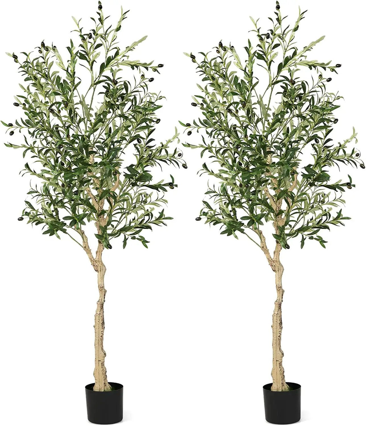 6 Feet Artificial Olive Tree in Cement Pot, photo 3 of 9