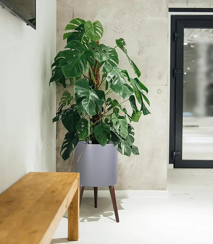 D'vine Dev 14 Inch Planter Pot with Stand, Mid-Century Tall Plant Pot with Legs for Indoor Plants, X-Large, Grey, 88-O-D-3 by GreenHaven Gardens