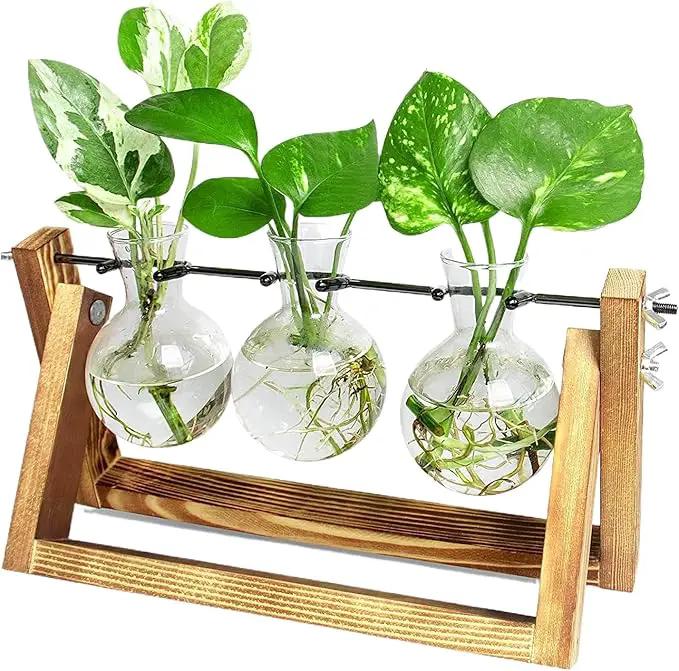 Ivolador I Plant Propagation Station, Bulb Plant Terrarium with Wooden Stand, Unique Gardening Gifts for Women, Hydroponic Indoor Planter, Home Office Garden Wedding Decor - 3 Bulb Glass Vases by GreenHaven Gardens