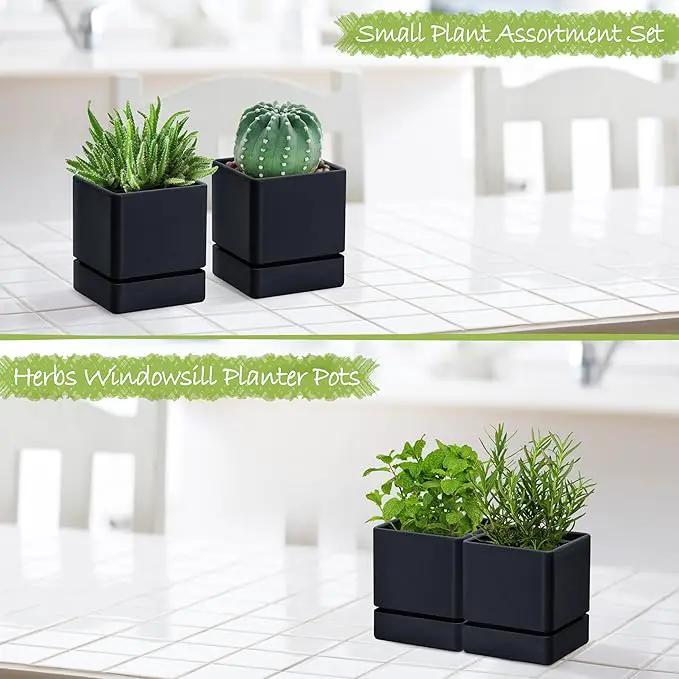 4 Inch Herb Planter Pot, Plastic Planter with Drainage Holes and Saucer, Modern Decorative Gardening Pot for Indoor Plants, Flowers, Herbs, Succulents, Black, Set of 2, 76-Y-B-2 by GreenHaven Gardens