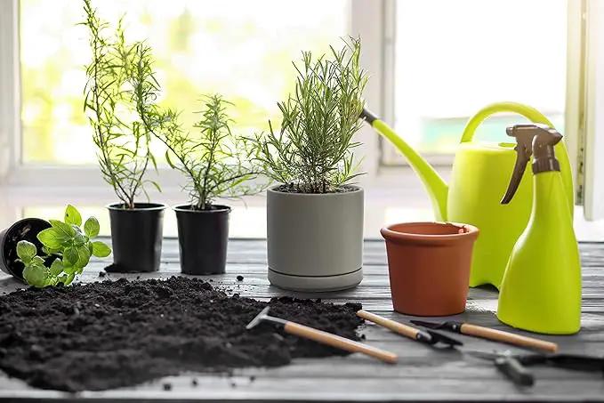 D'vine Dev Ceramic Planter Pot with Drainage Hole and Saucer, Indoor Cylinder Round Flower Pot, 4.6 Inch, Grey, 94-O-B-3 by GreenHaven Gardens