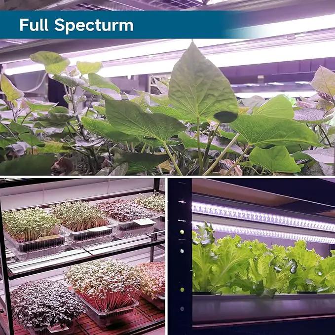Barrina LED Grow Light 4FT,168W(4 x 42W, 1000W Equivalent), Full Spectrum, V-Shape with Reflector Combo, Grow Lights for Indoor Plants, Greenhouse, 4-Pack by GreenHaven Gardens