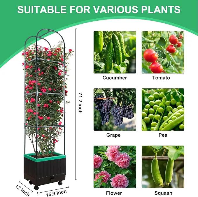 Raised Garden Bed with Self Watering Garden Pots, Planter Box with Trellis for Climbing Plants Vegetable Vine Flowers, Tomato Cage Planter for Indoor Outdoor Yard Greenhouse Use by GreenHaven Gardens