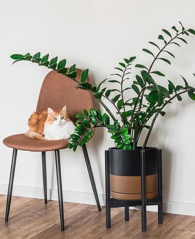 D'vine Dev Ceramic Planter with Ebony Stand - 10 Inch Modern Round Flower Pot with Wood Planter Holder, Black/Speckled Tan, 55-B-L-7 by GreenHaven Gardens