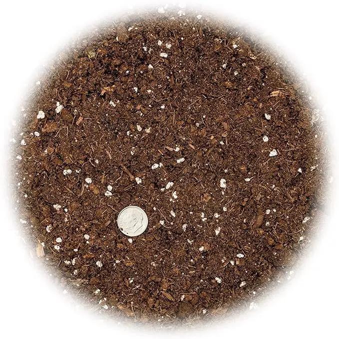 Premium Dracaena Potting Soil Mix - (1 Quart Bag) by GreenHaven Gardens