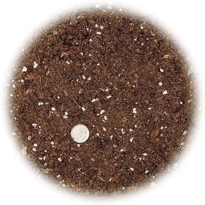 Premium Dracaena Potting Soil Mix - (5 Quart Bag) by GreenHaven Gardens